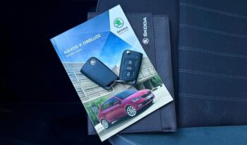 
									Škoda-Fabia-1.0 TSi Style plnou								